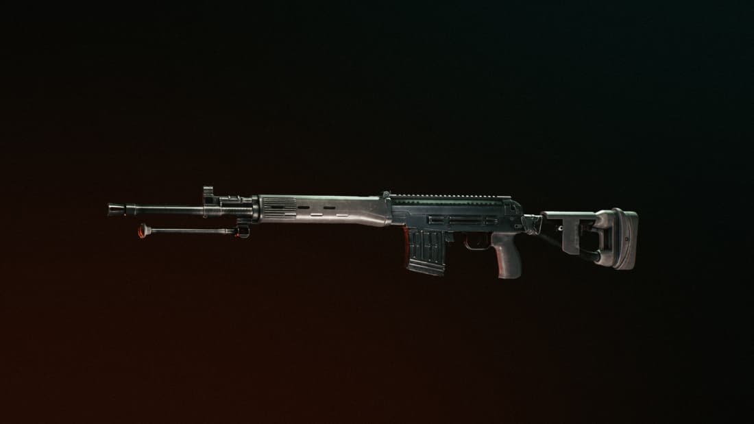 SVDM official image