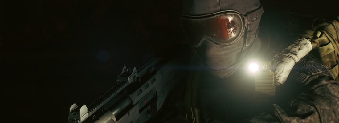 Raid-section image from the 250 Shades of Liberty announcement.